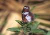184513 – Photo : Christian Berquer – Mayotte